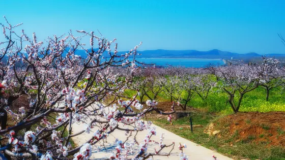 徐州呂梁風景區