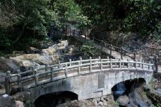 阁皂山风景名胜区-樟树