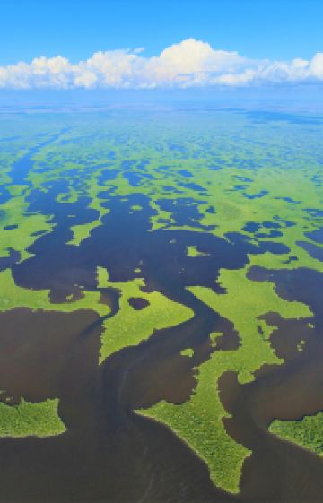 美国迈阿密+基韦斯特岛+劳德代尔堡+奥兰多8日7晚跟团游图片