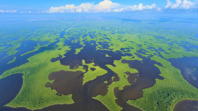 大沼澤地國家公園