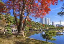 滨离宫恩赐庭园景点图片