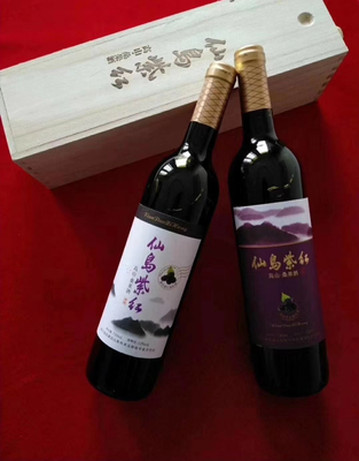 2020湖北黄石市阳新县仙岛湖十佳精品特产（县长带货热销榜）