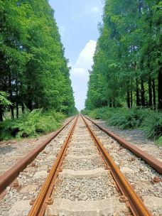 宁波植物园-宁波-YoYo_1V6M0T7T