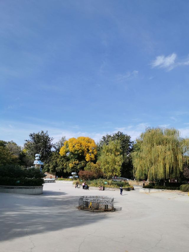 南馆公园旅行图片 1
