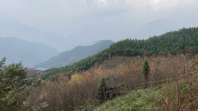 川西红枫岭旅行图片 5