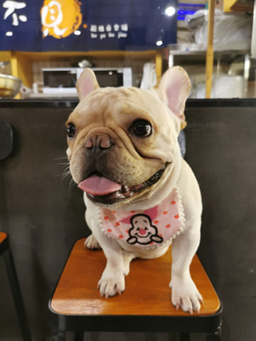 厦门NO.1第四顿餐【不夜不见·超级食铺】