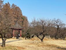 东湖梅园-武汉-没有故事的地方都不得了