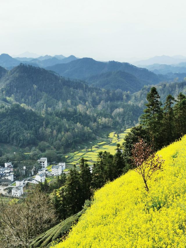 石潭村旅行图片 1