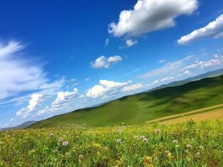 旅行是一片阿司匹林，虽解不了生活的毒，但化得了生活的苦