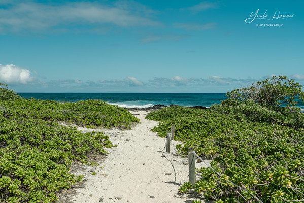 夏威夷旅行｜徒步探索欧胡岛最东端风景优美的海岸线 Kaiwi Shoreline Trail