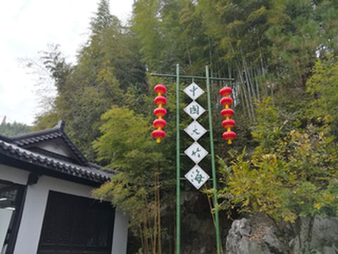浙江湖州安吉中国大竹海游记