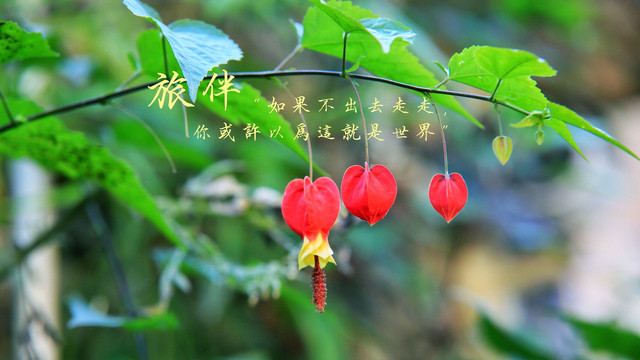 3种玩法!大理古城6公里外的茶马古道,隐匿着古村落和2个寺院!
