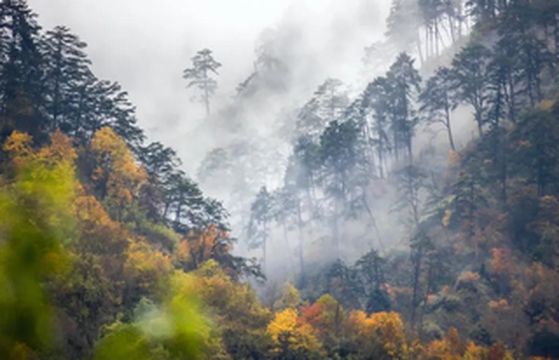 醉美汶川披银装，半山彩林半山雪……