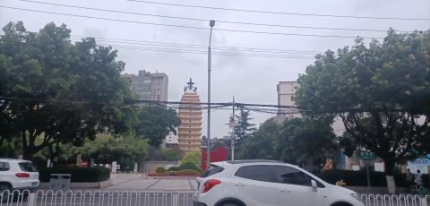 东寺塔茶花园旅行图片 2