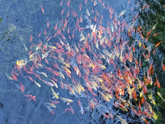 水磨沟风景区旅行图片 5