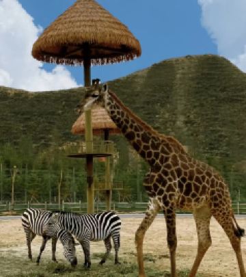 皋兰游记图文-给兰州野生动物园一个机会，一起来体验一下吧