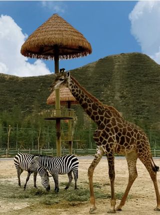 给兰州野生动物园一个机会,一起来体验一下吧