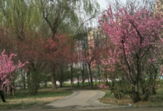 晋州市世纪广场景点图片