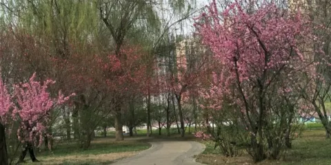 晉州市世紀廣場