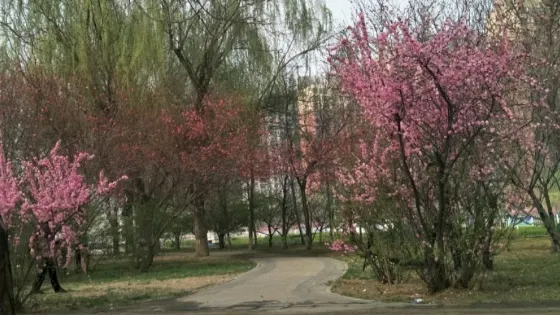 晉州市世紀廣場