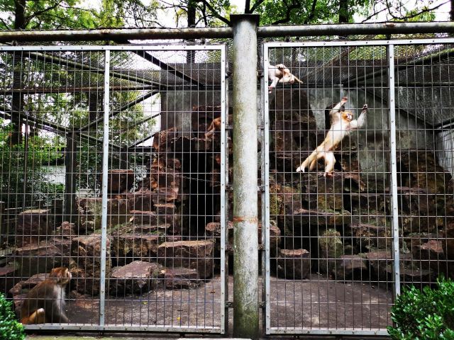 张堰公园旅行图片 3