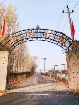 北京昌平真源生态蔬菜草莓采摘园,16个大棚22亩地,40余种蔬菜!