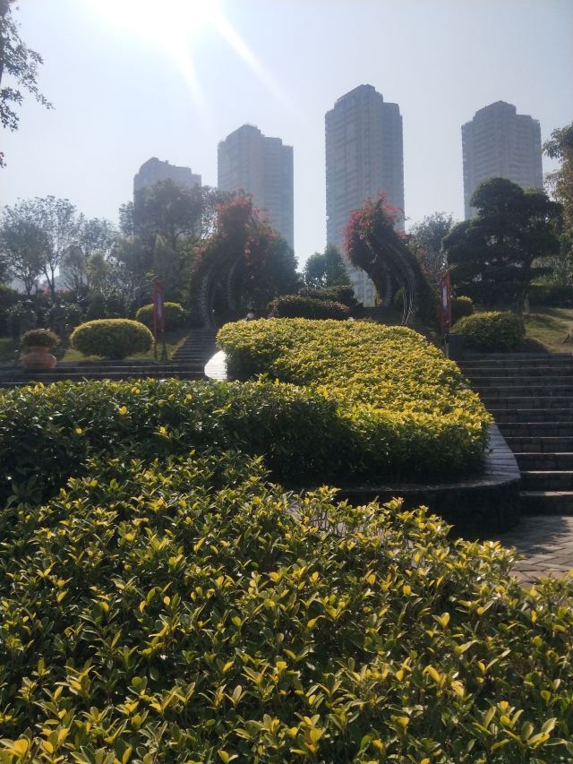 那考河湿地公园旅行图片 3