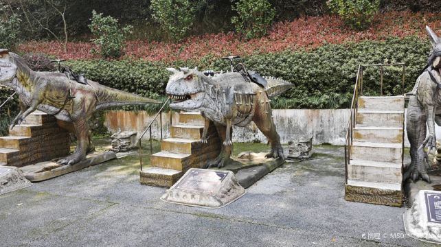 木化石恐龙园