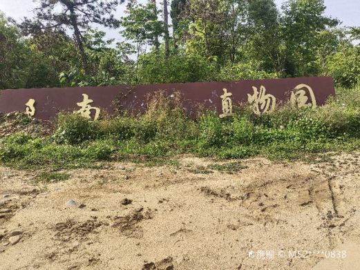 陕南珍稀植物园