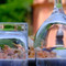 Ristorante Le Nuvole