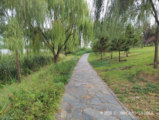 汶河湿地公园