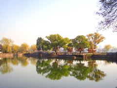 我能想到最浪漫的事，就是和你一起去无锡赏花