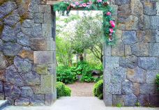 山茶花之丘-西归浦市