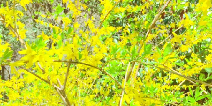 伏羲山紅石林景區