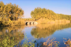 阿克苏多浪河国家湿地公园-阿克苏市