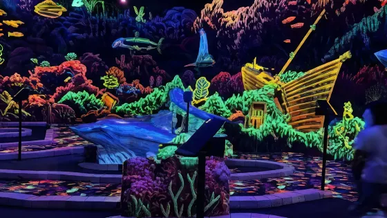Zap Zone