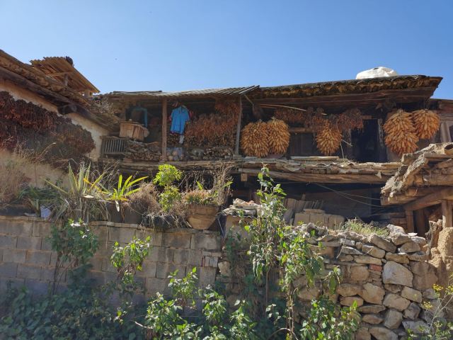 泸西城子古村旅行图片 5