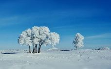 丰宁坝上草原-丰宁-行摄九州
