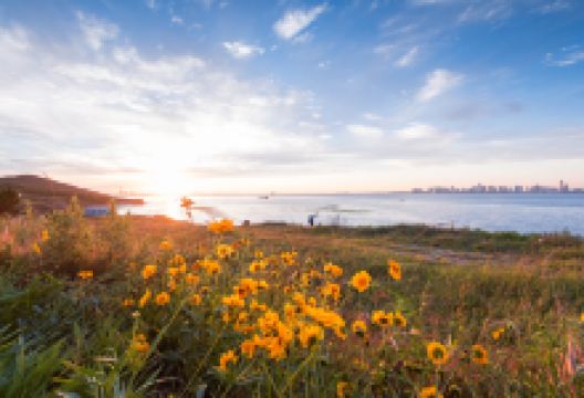 薛家岛景点图片