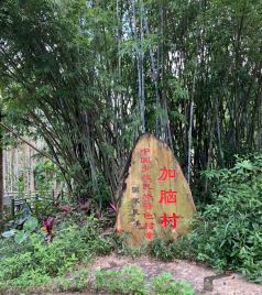 琼海市中心游记图文-苗寨加脑村