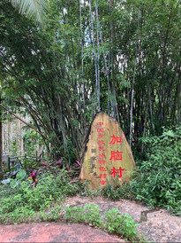 琼海市中心游记图片] 苗寨加脑村