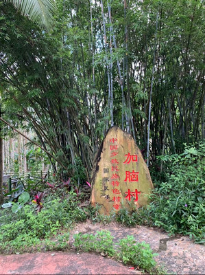 苗寨加脑村