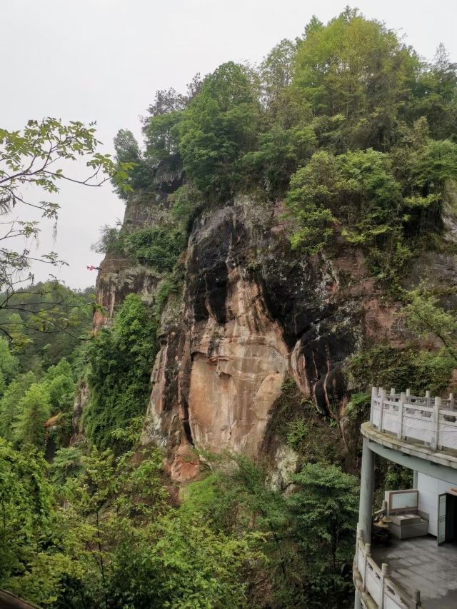太平山旅行图片 5