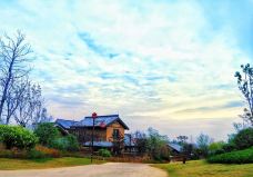 日照天台山-日照-YoYo_6R0X1V8A