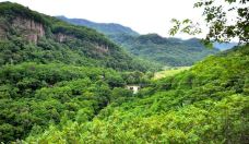 青山沟-宽甸-旅行中的男子