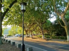 孤山-杭州-我就说俺家乡好