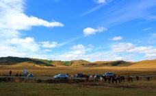 乌兰布统草原-克什克腾旗-113908820