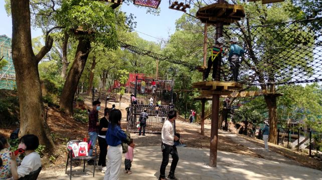 新旅·泰迪乐园