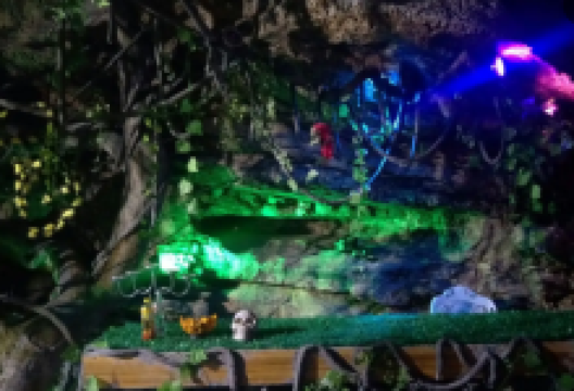 翠泉森林探险乐园景点图片