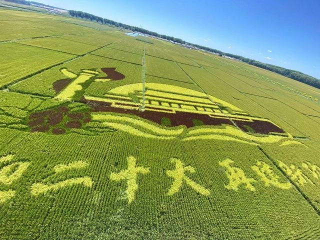 辽中蒲河稻乡稻田画景区旅行图片 8